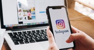 Kegunaan Fitur Instagram Analytics