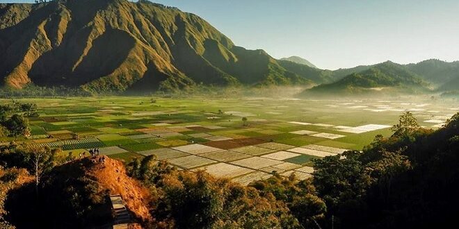 Pesona Bukit bukit di Lombok, Menyusuri Keindahan Alam dari Sembalun hingga Mandalika