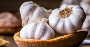 Manfaat Bawang Putih Rahasia Kesehatan dari Dapur Anda