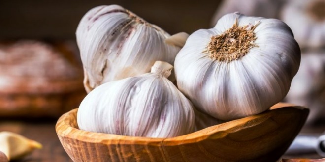 Manfaat Bawang Putih Rahasia Kesehatan dari Dapur Anda